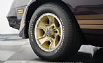 1981 Camaro Z28 Thumbnail 67