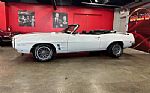 1969 Firebird Convertible Thumbnail 1