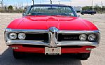 1968 Lemans Convertible Thumbnail 6