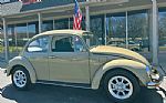 1971 Beetle Thumbnail 1