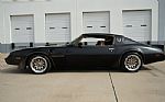 1980 Firebird Trans-Am WS6 Y84 Band Thumbnail 6