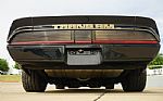 1980 Firebird Trans-Am WS6 Y84 Band Thumbnail 13