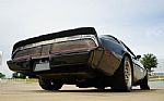 1980 Firebird Trans-Am WS6 Y84 Band Thumbnail 16