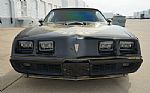 1980 Firebird Trans-Am WS6 Y84 Band Thumbnail 24
