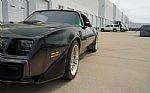 1980 Firebird Trans-Am WS6 Y84 Band Thumbnail 27