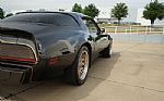 1980 Firebird Trans-Am WS6 Y84 Band Thumbnail 31