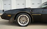 1980 Firebird Trans-Am WS6 Y84 Band Thumbnail 34