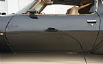 1980 Firebird Trans-Am WS6 Y84 Band Thumbnail 36