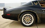 1980 Firebird Trans-Am WS6 Y84 Band Thumbnail 39