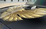 1980 Firebird Trans-Am WS6 Y84 Band Thumbnail 44