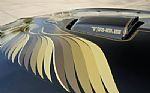 1980 Firebird Trans-Am WS6 Y84 Band Thumbnail 45