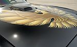 1980 Firebird Trans-Am WS6 Y84 Band Thumbnail 59