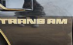 1980 Firebird Trans-Am WS6 Y84 Band Thumbnail 64
