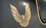 1980 Firebird Trans-Am WS6 Y84 Band Thumbnail 68