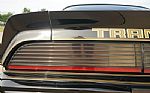 1980 Firebird Trans-Am WS6 Y84 Band Thumbnail 70