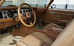 1980 Firebird Trans-Am WS6 Y84 Band Thumbnail 75