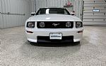2007 Mustang Thumbnail 2