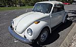 1979 Beetle Thumbnail 1