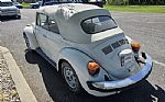 1979 Beetle Thumbnail 3