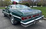 1976 Elite Thumbnail 3