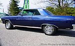 1965 Chevelle Thumbnail 5