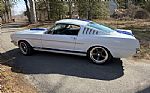 1965 Mustang GT350 Tribute Thumbnail 5