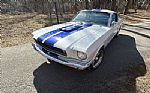1965 Mustang GT350 Tribute Thumbnail 3