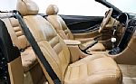 1995 Mustang Cobra Thumbnail 19