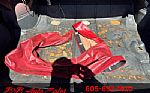 1967 Lemans Thumbnail 86