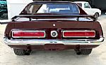 1973 Mustang Thumbnail 7