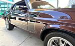 1973 Mustang Thumbnail 19
