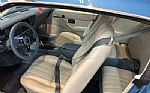 1979 Firebird Thumbnail 19