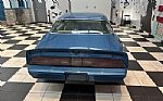 1979 Firebird Thumbnail 5