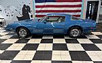 1979 Firebird Thumbnail 10