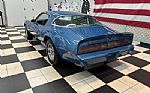 1979 Firebird Thumbnail 11
