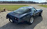 1979 Corvette Thumbnail 3