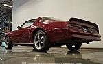 1976 Firebird Formula 400 Thumbnail 26
