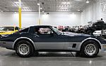 1981 Corvette Thumbnail 16