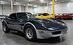 1981 Corvette Thumbnail 17