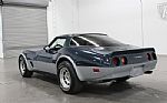 1981 Corvette Thumbnail 13