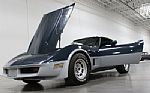 1981 Corvette Thumbnail 43