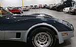 1981 Corvette Thumbnail 73
