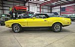 1973 Mustang Convertible Thumbnail 21