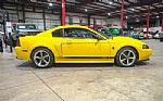 2004 Mustang Mach 1 Thumbnail 10