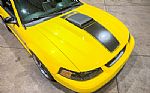 2004 Mustang Mach 1 Thumbnail 17