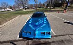 1980 Firebird Trans Am Thumbnail 11