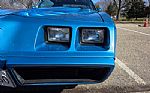 1980 Firebird Trans Am Thumbnail 18