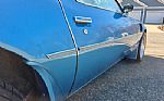 1980 Firebird Trans Am Thumbnail 33