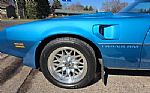 1980 Firebird Trans Am Thumbnail 54