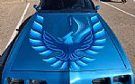 1980 Firebird Trans Am Thumbnail 62